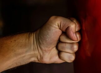 Anime Power Defense Codes: Unlock Hidden Strengths and Secrets Today