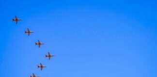 Clear Defense Pest Control: How To Protect Your Home Effectively