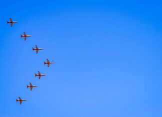 Clear Defense Pest Control: How To Protect Your Home Effectively