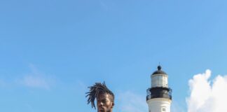 First Defense Nasal Screens: Why You Need This Powerful Allergy Shield