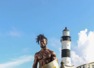 First Defense Nasal Screens: Why You Need This Powerful Allergy Shield