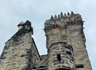 Anime World Tower Defense Codes: Unlock Powerful Secrets Today