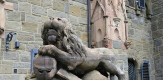 Detroit Lions Defense Ranking: Shocking Insights You Must Know