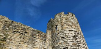 Tower Defense Simulator Codes: Unlock Secrets To Ultimate Victory