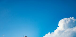 Bloons Tower Defense 4 Secrets: Ultimate Tips to Dominate Every Level