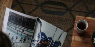 Home Team Pest Defense: How To Protect Your Home Effectively