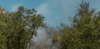 Best Heat Defense Spray Secrets Every Haircare Enthusiast Must Know