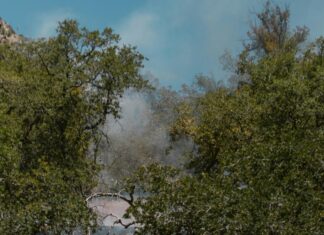 Best Heat Defense Spray Secrets Every Haircare Enthusiast Must Know