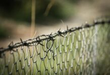 The Hundred Line Last Defense Academy Transition: Secrets Unveiled