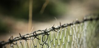 The Hundred Line Last Defense Academy Transition: Secrets Unveiled