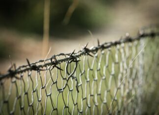 The Hundred Line Last Defense Academy Transition: Secrets Unveiled