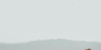 Texas Defensive Driving Course: How It Can Transform Your Driving Skills