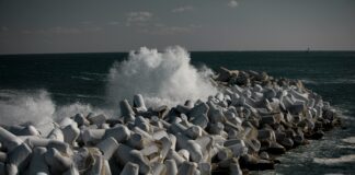 Self Defense Pepper Spray: Powerful Protection Tips You Need Today