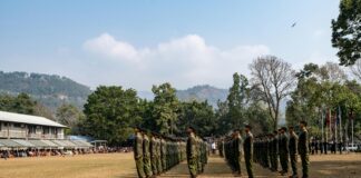 Week Fourteen Defense Rankings Revealed: Who Dominates The Field?