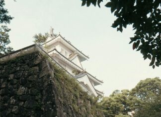 When Must You Receive A Defensive Foreign Travel Briefing? Essential Tips