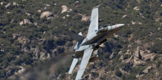 U.S. Department of Defense Dictionary of Military Terms: Ultimate Guide