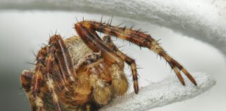 Travis Hunter Defensive Stats: Unveiling The Ultimate Impact