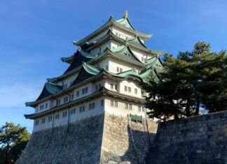 Tower Defense RNG Codes: Unlock Powerful Secrets for Victory