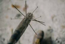 Defense Threat Reduction Agency: How It Safeguards Global Security Today