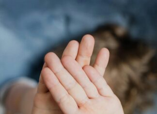 Children’s Defense Fund: How It Empowers Kids and Transforms Lives