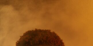 The Environmental Defense Fund: Powerful Solutions for a Greener Future